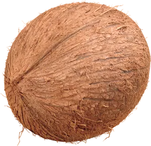 Whole Brown Coconut Isolated PNG Image