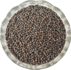 Mustard Seed Black - Mustard Seed Png, Transparent Png PNG image with transparent background