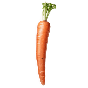Whole Carrot PNG 05242024 PNG image with transparent background