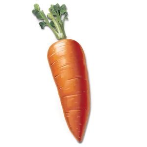 Whole Carrot Png Bot PNG Image