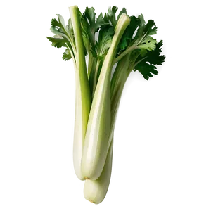 Whole Celery Bunch Png 06252024 PNG Image