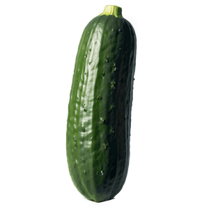 Whole Cucumber PNG 05242024 PNG
