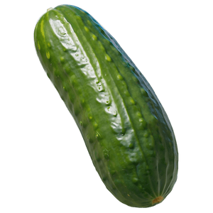Whole Cucumber PNG hif PNG