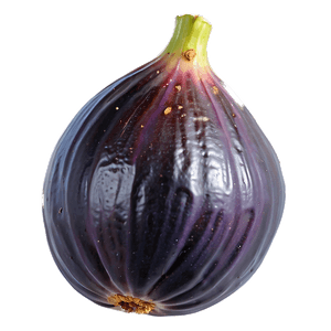 Whole Fig Clipart PNG fef PNG