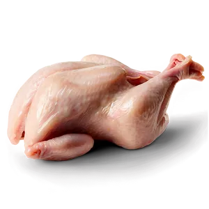 Whole Free-range Raw Chicken Png Ryn PNG Image