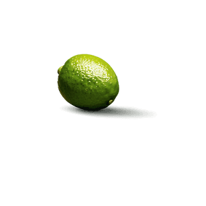 Whole Lime Illustration PNG 05242024 PNG image with transparent background