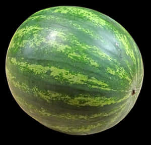 Whole Watermelon Texture PNG image with transparent background