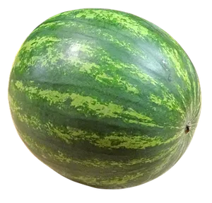 Whole Watermelon Texture PNG Image