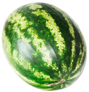 Whole Watermelon Top View.jpg PNG