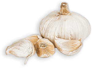 Garlic, HD Png Download PNG image with transparent background
