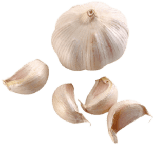 Transparent Garlic Png - Garlic Png Transparent, Png Download PNG with transparent background