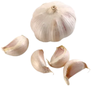 Wholeand Cloves Garlic Isolated PNG Image