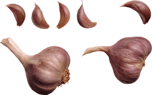 Garlic Png Image - Warts In Hands Treatment, Transparent Png PNG image with transparent background