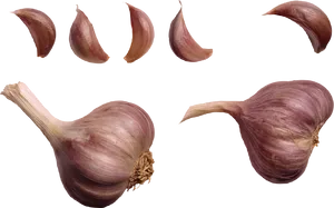 Wholeand Cloves Garlic Transparent Background PNG Image