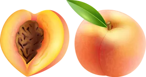 Wholeand Half Peach Illustration PNG Image