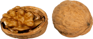 Walnut, HD Png Download PNG image with transparent background
