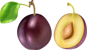 Wholeand Halved Plum Illustration PNG Image