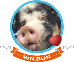 Wilbur Pig Portraitwith Heart PNG Image