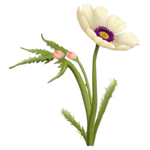 Wild Anemone Png 1 PNG Image