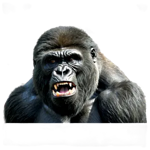 Wild Angry Gorilla Png Glb42 PNG Image