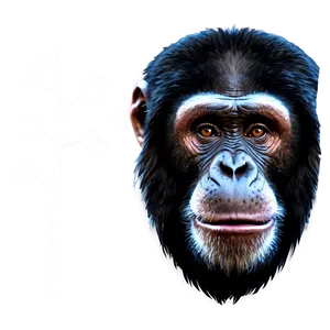 Wild Ape Clipart Png Dwp32 PNG Image