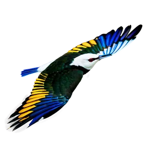 Wild Bird In Flight Png 36 PNG Image