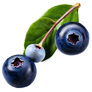Wild Blueberries Png Glb59 PNG Image