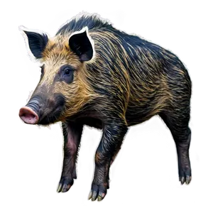 Wild Boar Hog Png 06252024 PNG Image