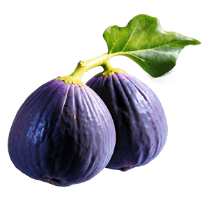 Wild Fig Picture PNG eng PNG