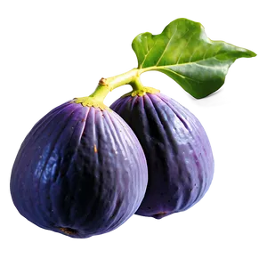 Wild Fig Picture Png Eng PNG Image