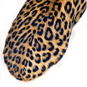 Wild Leopard Print Png 06272024 PNG Image