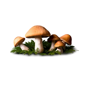 Wild Mushrooms Png Lli PNG Image