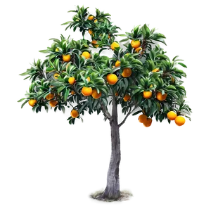 Wild Orange Tree Png Gbr98 PNG Image