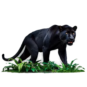 Wild Panthers In Jungle Png Khm PNG Image