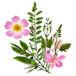 Wild Pink Flowers Png Tco91 PNG Image