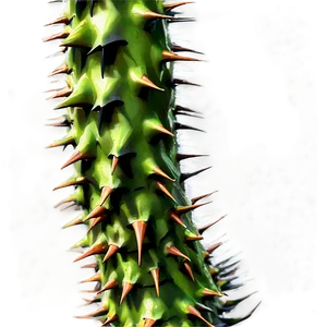 Wild Thorny Spikes Png Iun PNG Image