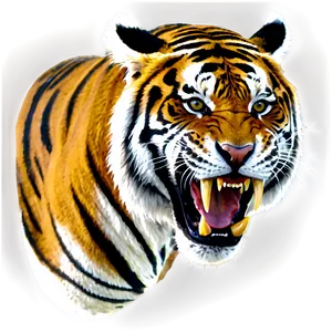 Wild Tiger Fury Png 50 PNG Image