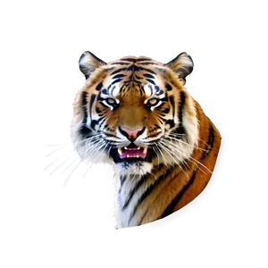 Wild Tiger Fury Png Gbf51 PNG Image