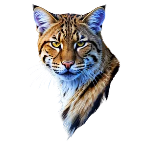 Wildcat Illustration Png Jat13 PNG Image