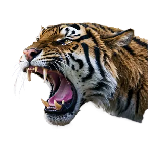 Wildcat Rage Tiger Png Dgb99 PNG Image