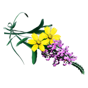 Wildflower Bouquet Closeup PNG 06202024 PNG with transparent background
