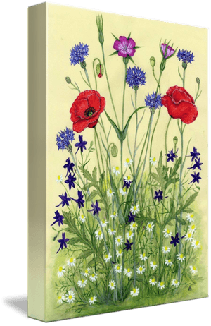 Wildflower Meadow Artwork PNG with transparent background