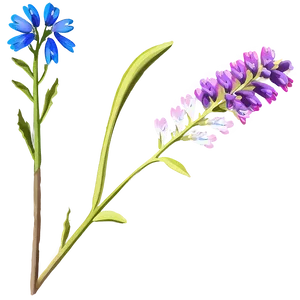 Wildflower Stem Png Uts21 PNG Image