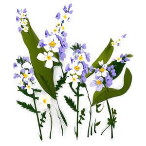 Wildflower Transparent Illustration PNG 05252024 PNG