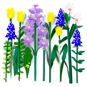 Wildflowers in Bloom PNG 06202024 PNG with transparent background