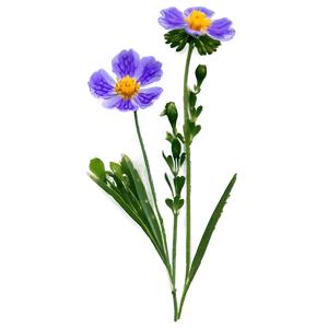 Wildflowers in Bloom PNG ctc PNG with transparent background
