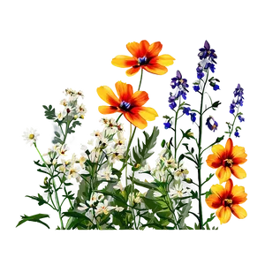 Wildflowers In Full Color Png 06202024 PNG Image