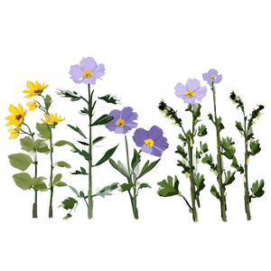 Wildflowers in Soft Light PNG nqo PNG with transparent background