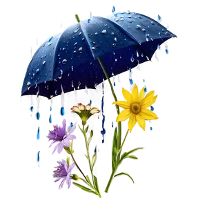 Wildflowers In The Rain Png 06202024 PNG Image