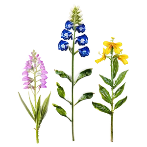 Wildflowers Of The Valley Png 71 PNG Image